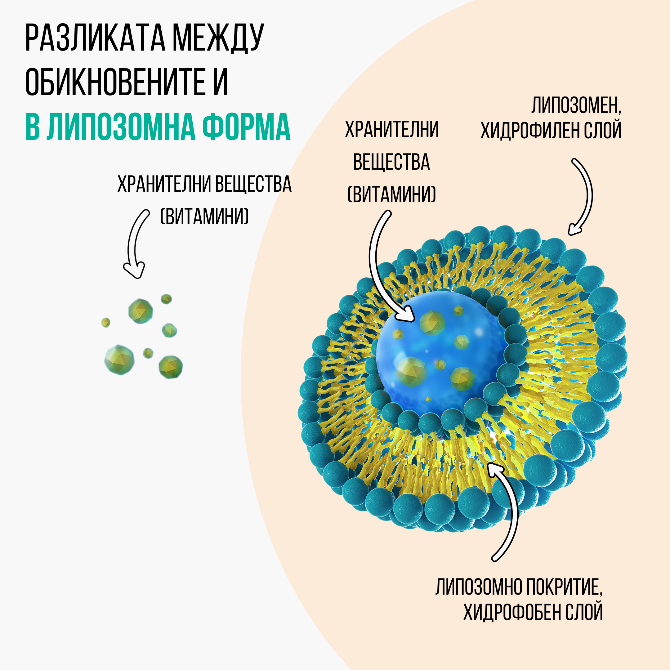 rozdíl mezi běžnou a lipozomální formou bg 